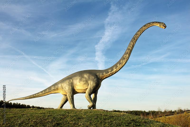 Mapy i narzędzia online DINO