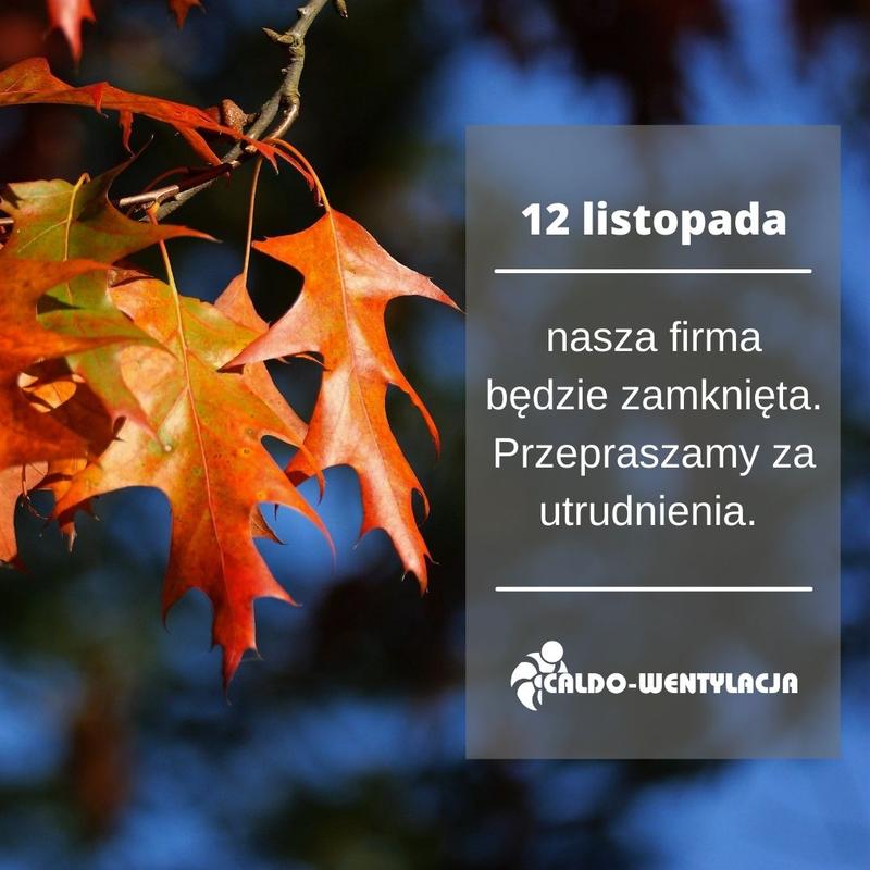 Co warto wiedzieć o sklepach otwartych 12 listopada?