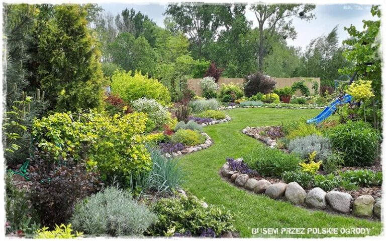 Jak zaprojektować rabaty ogrodowe, które zachwycą?