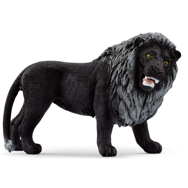 Czarny Lew w Pcimiu – gdzie znaleźć najlepsze sklepy?