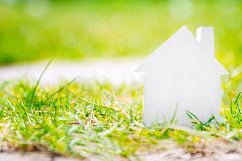 Infrastruktura i media na działce ROD