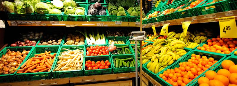 Poradnik rysowania krok po kroku