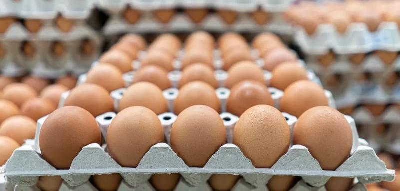 Ceny jajek w sklepach