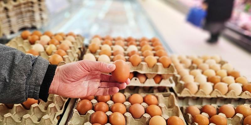 Jaja wiejskie i eko