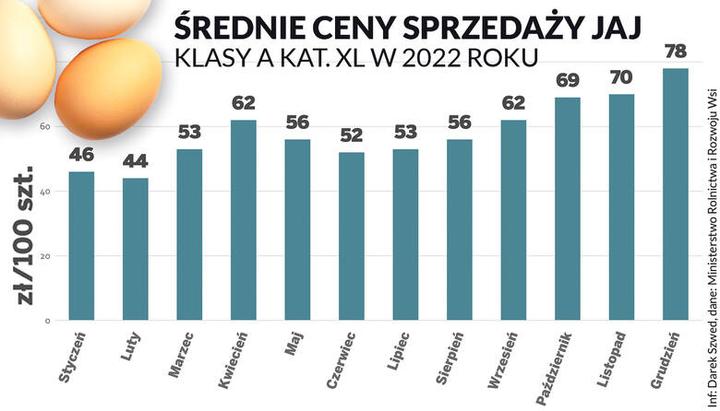 Ile kosztują jajka w sklepie? Sprawdź aktualne ceny i trendy!